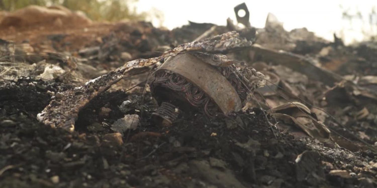 El FBI se unirá a la investigación de la masacre de los LeBarón
