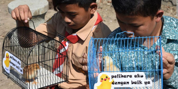 Un programa da pollitos a los niños para luchar contra la adición a internet