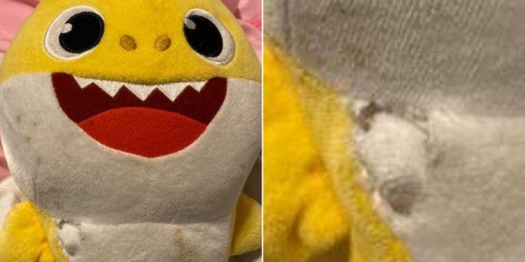 Un peluche de Baby Shark salvó la vida de un niño durante un tiroteo en Wisconsin, según la policía