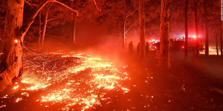 Las 5 cosas que debes saber este 21 de enero: Clima “apocalíptico” en Australia