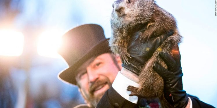 PETA pide que la marmota Phil se retire y sea reemplazada por una de inteligencia artificial