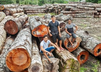 Amenaza latifundista sobre una gran reserva en Brasil | Internacional