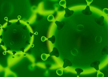 Especialistas impartieron conferencia sobre el coronavirus en Los Cabos