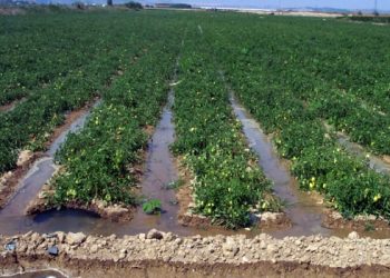 Urgen especialistas a ponerle recursos a la conservación del agua