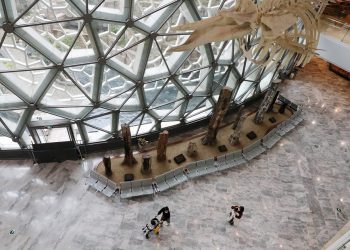 Coronavirus en China: poco a poco Shanghai reabre parques, museos y lugares de entretenimiento