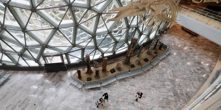 Coronavirus en China: poco a poco Shanghai reabre parques, museos y lugares de entretenimiento