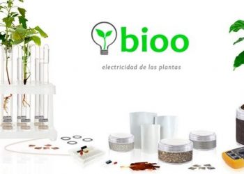 Esta startup puede generar electricidad ¡acariciando plantas!