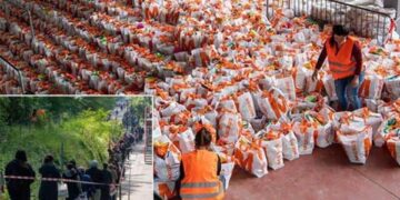 Las secretas intenciones