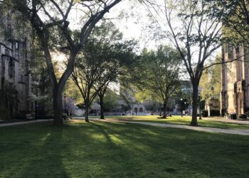 Yale Discriminated by Race in Undergraduate Admissions, Justice Department Says