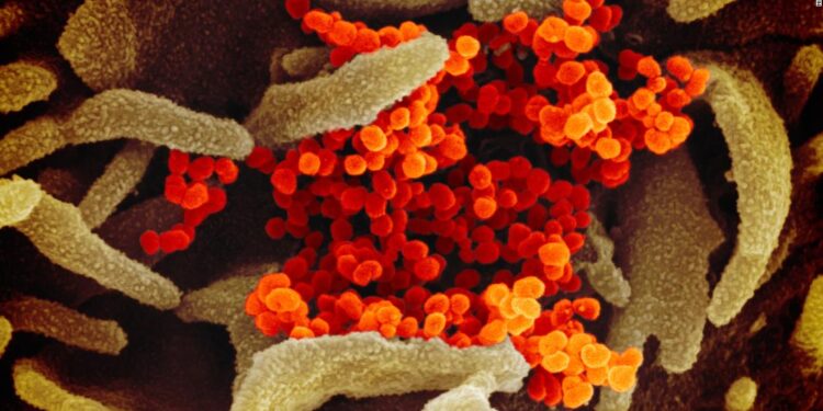 US coronavirus: Maine wedding is linked to the deaths of 7 people who didn’t attend