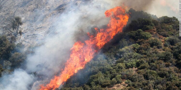 El Dorado Fire: A gender reveal sparked a wildfire in California