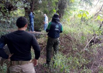 Mexico clandestine graves contain remains of 59 bodies