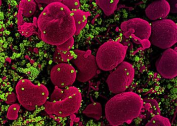 CDC has found 52 US cases of coronavirus variant first identified in UK