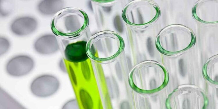 Startups foodtech desarrollan nuevas proteínas