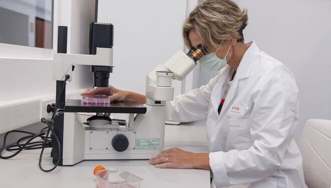 Identifican riesgos emergentes de la industria alimenticia