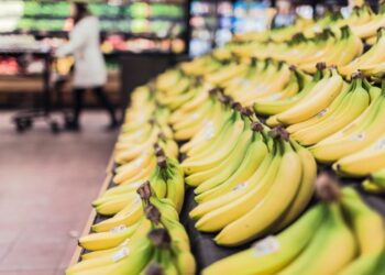 Ecommerce: Alianza entre Sánchez Romero y Lola Market para ampliar servicio online