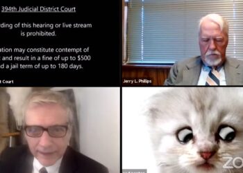 ‘I’m Not a Cat,’ Says Lawyer Having Zoom Difficulties