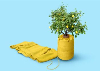 moda sustentable