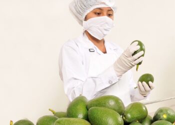 Alimentos del Futuro