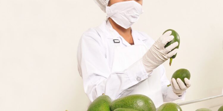 Alimentos del Futuro