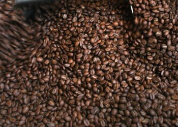 La producción de café