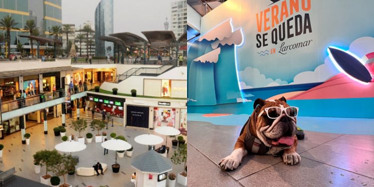 Larcomar ahora es un mall Pet Friendly y permitirá ingreso de mascotas