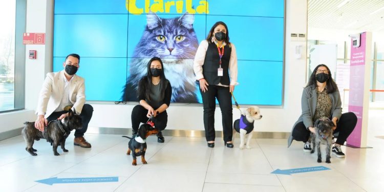 Scotiabank apertura 22 nuevas sucursales Pet Friendly en la región