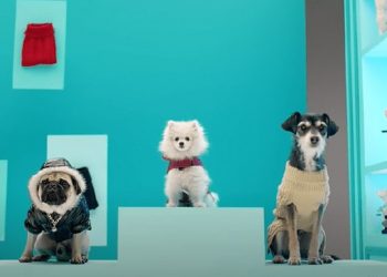 Falabella Retail lanza Club Mascotas F, un espacio para los amantes de los animales