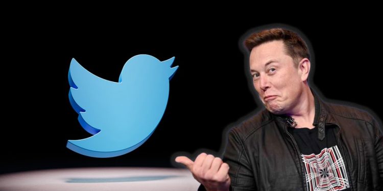 Elon Musk busca a alguien “lo suficientemente tonto” para que se encargue de Twitter