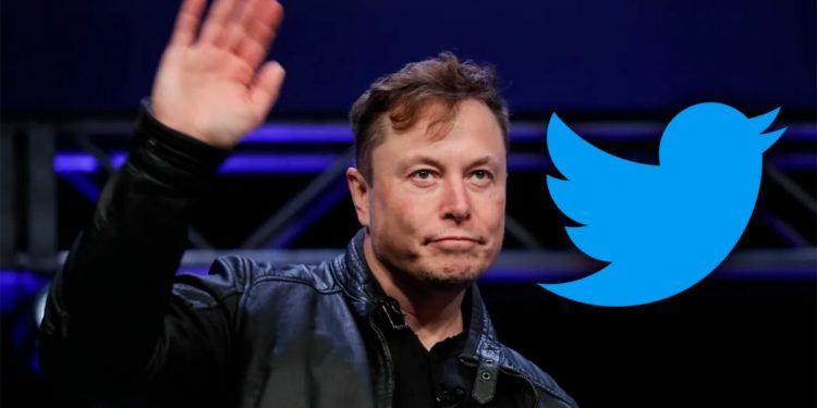 Elon Musk busca a alguien "lo suficientemente tonto" para que se encargue de Twitter