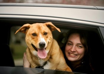 Cabify permite a usuarios peruanos viajar con mascotas