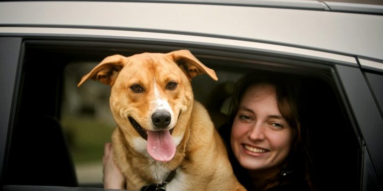 Cabify permite a usuarios peruanos viajar con mascotas