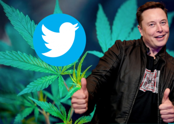 Twitter se convierte en la primera red social en permitir anuncios de marihuana