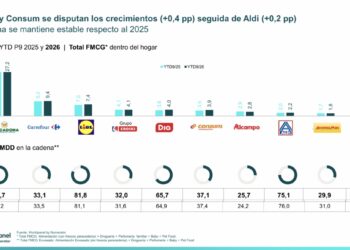Lidl, Dia, Consum y Aldi lideran el crecimiento en cuota de mercado hasta septiembre