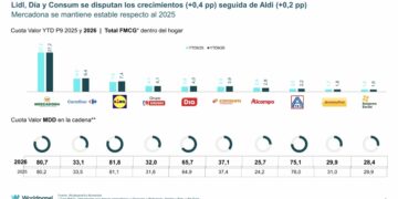 Lidl, Dia, Consum y Aldi lideran el crecimiento en cuota de mercado hasta septiembre